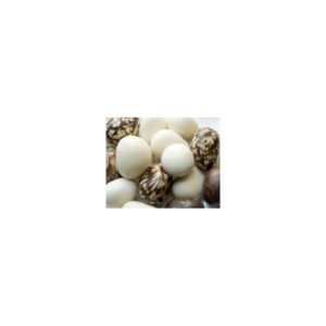 Bijou de sac à main à tonalité dominante prune - Création et réalisation artisanale en ivoire végétal (corozo)